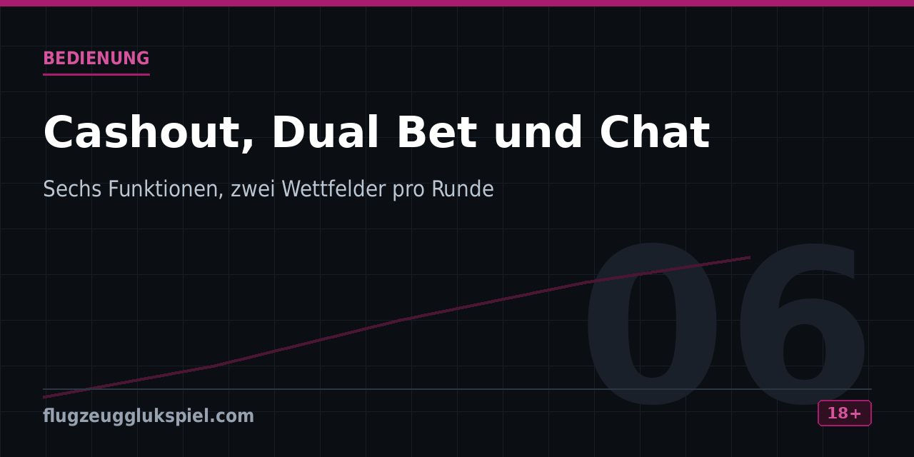 Auflistung der sechs Bedienfunktionen einschließlich Auto-Cashout und zweier Wettfelder